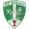 SV Döbern logo