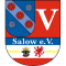 SV Viktoria Salow logo