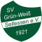 SV Grün-Weiß Sellessen logo