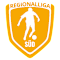Regionalliga Süd logo
