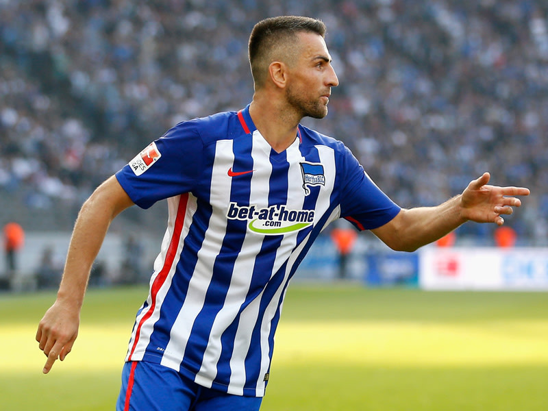 Vedad Ibisevic