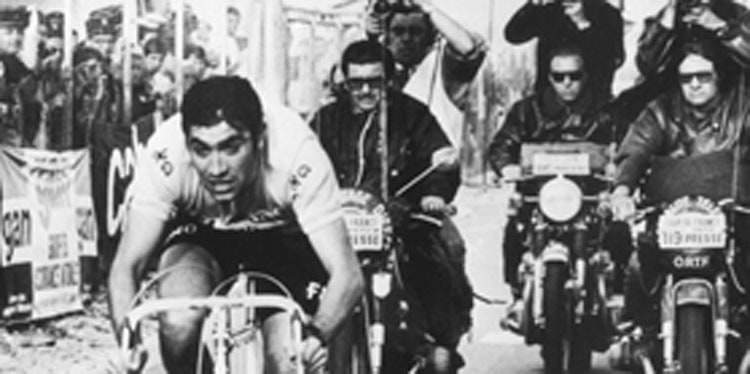 Eddy Merckx hatte am Ende seiner Karriere 34 Etappensiege auf seinem Konto. Mark Cavendish liegt mit 30 Siegen gar nicht so weit weg vom Kannibalen und ist noch aktiv...