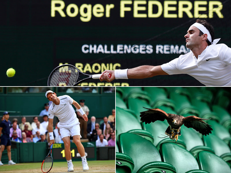 Roger Federer (o.), Andy Murray (l.)