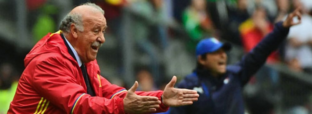 Gestikulierte wild an der Seitenlinie: Spaniens Coach Vicente del Bosque.