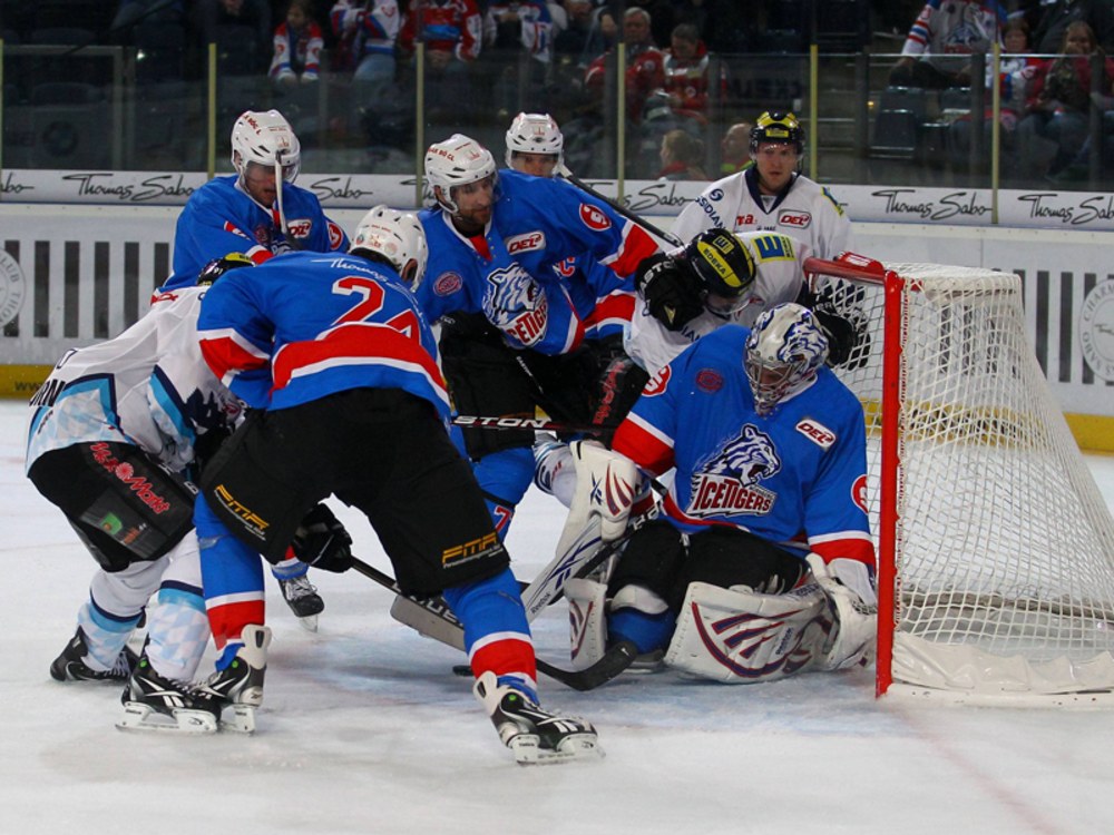 Ingolstadt Erster Ice Tigers Entlassen Brockmann Eishockey Kicker