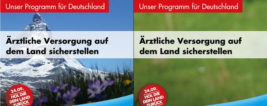 AfD sieht Matterhorn in Deutschland