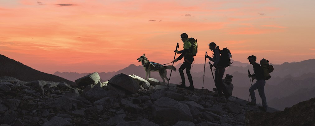 Hunde auf Berghütten? Das solltet ihr beachten!