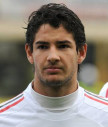 Pato