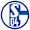 FC Schalke 04