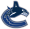 Vancouver Canucks