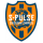 Shimizu S-Pulse