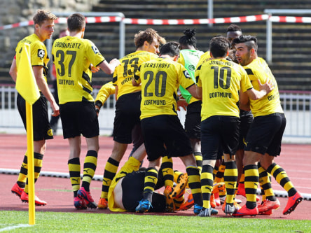 Freude in schwarz und gelb: BVB-Siegtorsch&#252;tze Tammo Harder liegt am Boden, die Kollegen bejubeln das 1:0 gegen Haching.