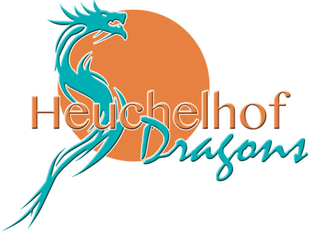 Das Logo der Heuchelhof Dragons