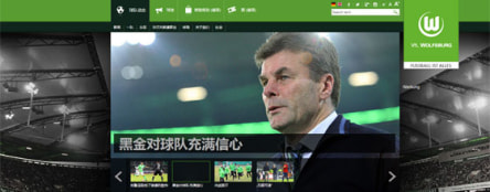 Chinesische VfL-Website