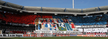 Ansehnlich: Die Choreo 2013 im Frankenstadion.