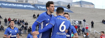 Leon Goretzka, Sead Kolasinac