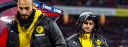 Mahmoud Dahoud