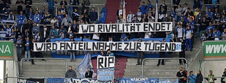 Hoffenheimer Fans