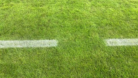 Social Media | Hansa Rostock - Hertha BSC 2:1 | 9 ...