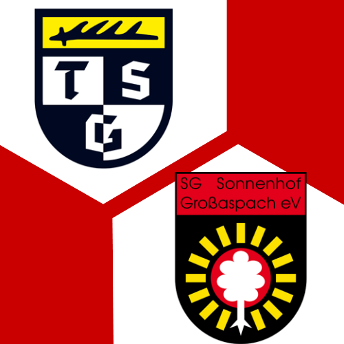 LIVE-Aufsteigerduell-unter-Flutlicht-Balingen-empf-ngt-Angstgegner-Gro-aspach