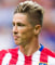 Fernando Torres