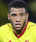 Etienne Capoue