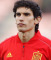 Jesus Vallejo