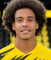 Axel Witsel