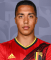 Youri Tielemans