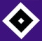 Hamburger SV II (2. Mannschaft)