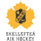 Skelleftea AIK