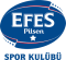 Anadolu Efes Istanbul