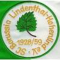 Borussia Lindenthal-Hohenlind II