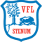 VfL Stenum III