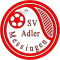 SV Adler Messingen