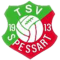 TSV Spessart