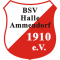 BSV Ammendorf II