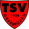 TSV Oberbrüden II