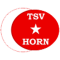 Türkischer SV Horn