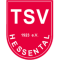 TSV Hessental II