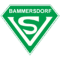 SV Bammersdorf II