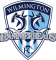 Wilmington Hammerheads