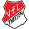 VfL Theesen (A-Junioren)