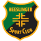 Heeslinger SC II