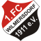 1. FC Wilmersdorf 1911