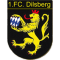 1. FC Dilsberg