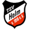 TSV Holm