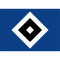 Hamburger SV V