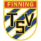 TSV Finning