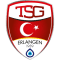 Türk SV Erlangen